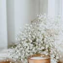 도시의 아침 이미지