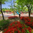 가현어린이공원 이미지