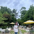 여성 데일리룩 추천 유나컴퍼니 &#34;에스닉 벨트세트 셔츠원피스&#34;