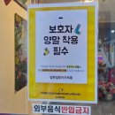 일루비전 이미지