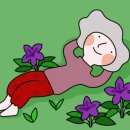 예안면 주진리(주진교) 이미지