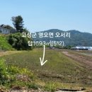 논