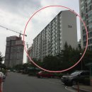 늘푸른1길 이미지