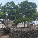 수산리-4 이미지