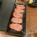 이가빈 | 26년 설 연휴. 이상한 가족 이시가키 여행 일기 1탄🏝️🐢🐟🐠🐳🏝️