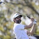 M Golf 이미지