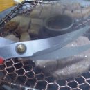 1004 화로구이 이미지