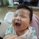 바오비 이미지