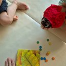 땡그리나 | (38개월) 어린아이와 하기 좋은 보드게임 <땡그리나> 후기