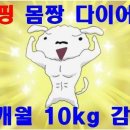 제일점핑다이어트
