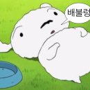 백년대로 256번길 9 이미지