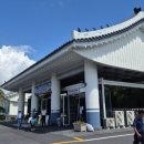 마토 | 제주경마장 렛츠런파크 마권발권, 마토 작성방법과 경마시간, 방문 후기