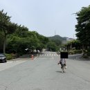 운산천 티스토리