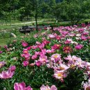 공작산생태숲 이미지