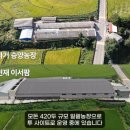승양농장 네이버블로그