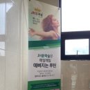 메노플라워