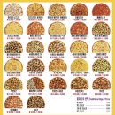 미친피자 동대문직영점 이미지