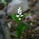 샘골목장 이미지