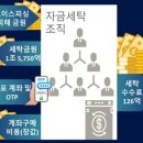 시민세탁 이미지