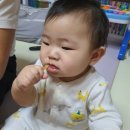 리안 - 경산시 서사도리7로 28 | 리안