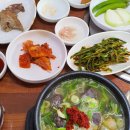 돈지메국밥 | 요리에 대한 짧은 고찰 및 맛집 후기 - 광주 돈지메국밥, 하남동 명장, 긴자료코 수완점, 진미평양냉면...