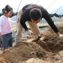 혜원농장 이미지