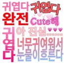 히브루즈 | 12월 기억모음집