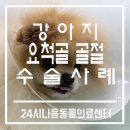 다나음동물병원 이미지