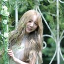 아이앤케이 이미지