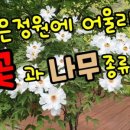 꽃과나무 - 계양구 효서로 89 | 꽃과나무