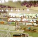 Holly Shop 이미지