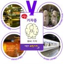 동아태권도스쿨 이미지