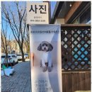 소중한오늘 사진관 이미지
