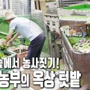 귀농 절대 하지 마라?! 서울 빌딩 숲에서 농사 짓는 법 대공개~ | 자연의 철학자들 59부 나는 도시에서 농부로 산다 이미지