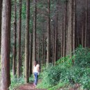 봉암동202 이미지