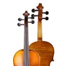 바네스(VANESSE) 이미지