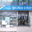 월드피쉬수족관