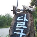 덕동달구지펜션 이미지