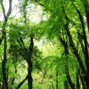 103순례자의 집 이미지