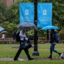 로우코스트 이미지