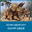 수피아어린이집 이미지