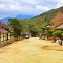 피카소안경원 이미지