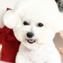 장지3길 2 이미지