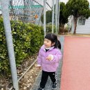 도계체육공원 | 창원 도계체육공원 _ 3월 아이와산책 개나리 벚꽃 봄꽃 구경