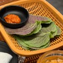 유가네닭갈비 경산사동점 | 콘치즈닭갈비가 맛있는 대가대맛집 유가네닭갈비