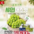 뉴월드마트로주 이미지