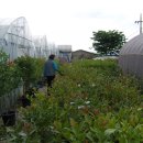 대송농장 이미지