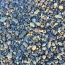 주전몽돌해변 이미지