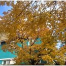 산골민박 이미지