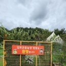 김포 자연 농장 이미지